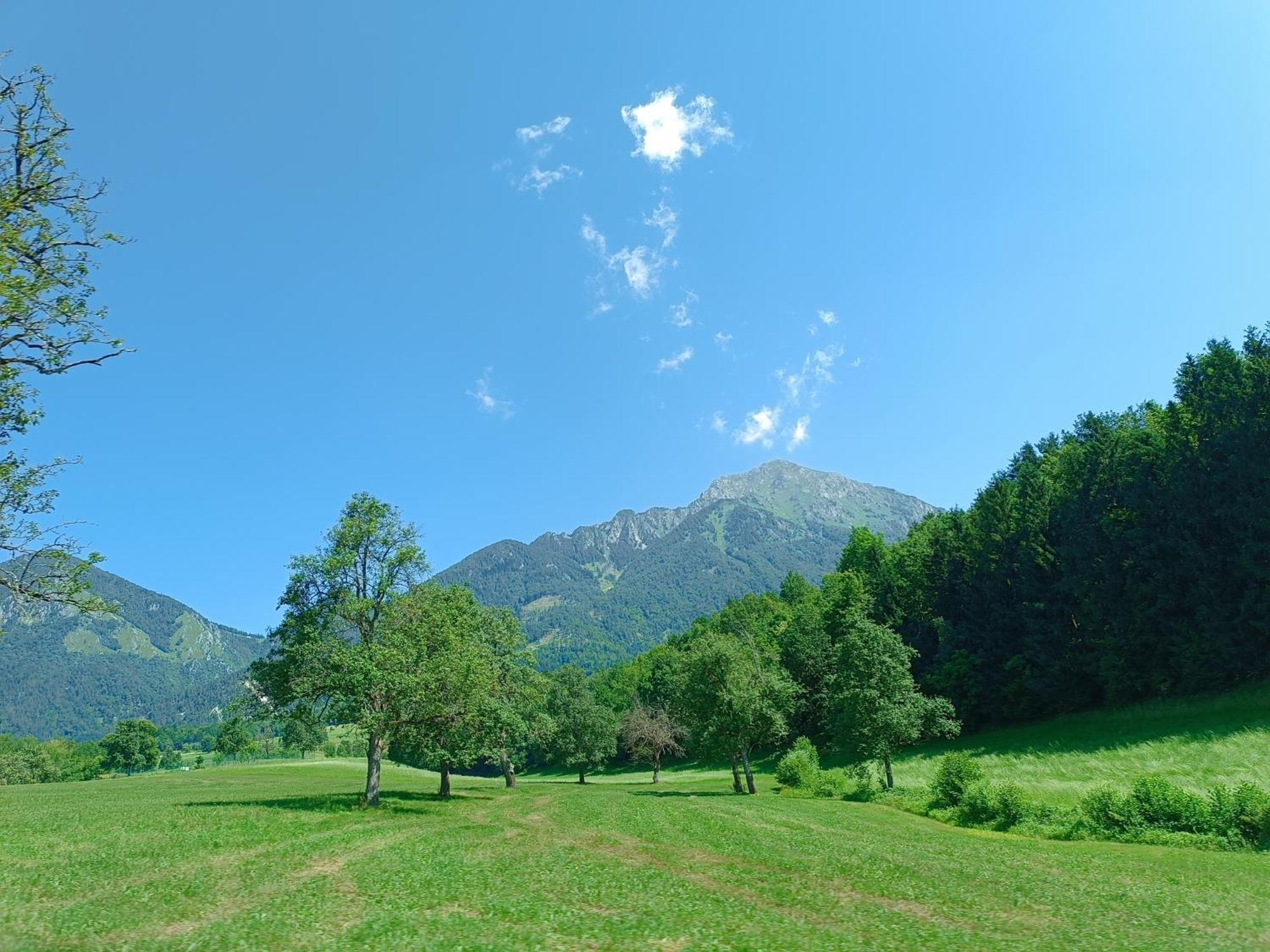 Kralj Matjaz - The Green Escape Under Alps Golnik Екстер'єр фото